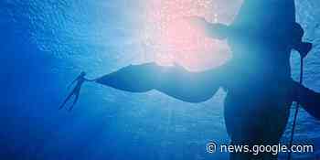 DP Russell Carpenter on the Virtual Reality of ‘Avatar: The Way of Water’ - Film School Rejects