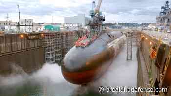 Navy suspends work at 4 dry docks over earthquake concerns