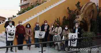 Cittadini in piazza per salvare parco di via della Fornace Bizzarri ... - AbruzzoLive