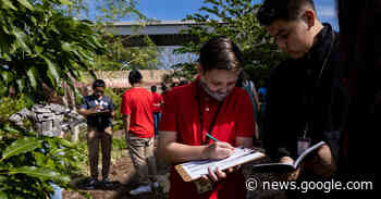 How to Grow a Food Forest - The New York Times