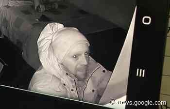 Police ask public's help to identify 'person of interest' | Exeter ... - Exeter Lakeshore Times-Advance