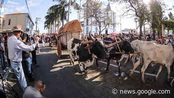 Romaria de Carros de Boi em Trindade entra no calendário cultural ... - Pai Eterno