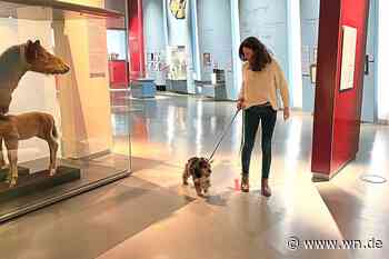 Mit dem Hund ins Museum
