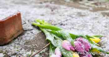 14-Jähriger nach Mord an Gleichaltrigem in U-Haft - Verbrechen - Rheinpfalz.de