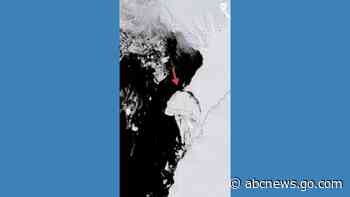 WATCH:  Huge iceberg breaks away in Antarctica