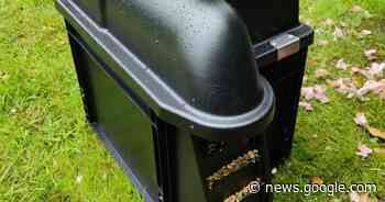 Slimme rattenvallen moeten plaag helpen bestrijden | Dessel | hln.be - Het Laatste Nieuws