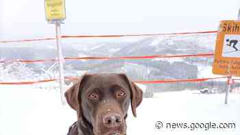 Skifahren und Langlauf im Kreis Olpe: Skilift Fahlenscheid läuft ... - sauerlandkurier.de