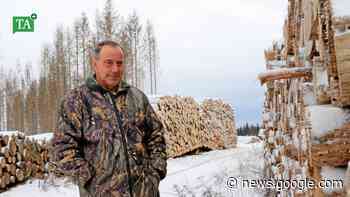 Wie den Wald retten? – Südharzer Forst hat Pionierrolle in Thüringen - Thüringer Allgemeine