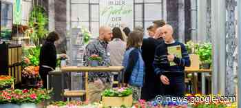 Nederlandse sierteeltproducenten in de prijzen op IPM Essen - NieuweOogst.nu