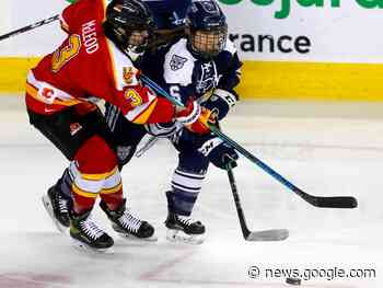Dinos hockey men set consecutive wins record in Dome-hosted ... - Cochrane Times Post