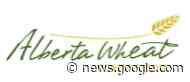 Alberta Wheat announces new executive for 2023 - CochraneNow.com