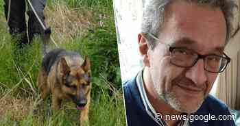 Politie zoekt opnieuw met speurhonden naar vermiste Walter ... - Het Laatste Nieuws