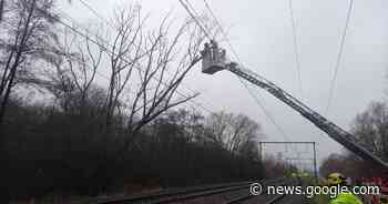 Opnieuw treinverkeer nadat omgevallen boom werd verwijderd ... - Het Laatste Nieuws
