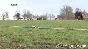 Gouverneur vernietigt voor tweede keer beslissing verkoop ... - TV Limburg