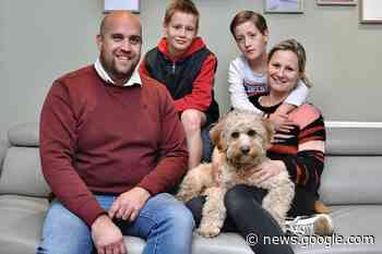 Jan-Willem Bekaert is de Krak van Wervik: “De Viking Rally? Dat lijkt ... - KW.be