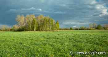 WEERBERICHT. In Oudenaarde bewolkt weer vanochtend ... - Het Laatste Nieuws
