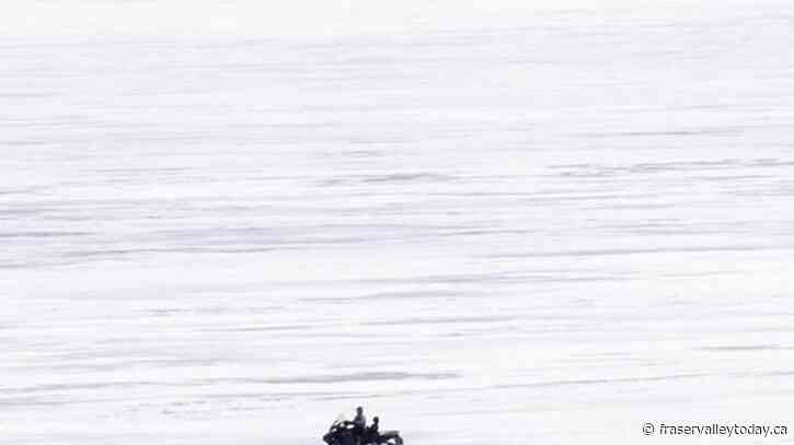 A Quebec snowmobiler dies after possible collision with moose authorities say