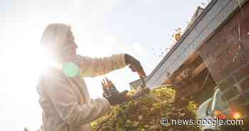 Verjüngte Verwaltung - Freinsheim - DIE RHEINPFALZ - Rheinpfalz.de