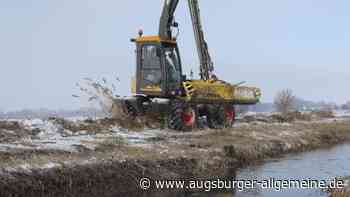 Lechhausener Moos ist wichtig für den Klimaschutz – und braucht mehr Wasser