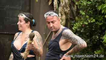 Dschungelcamp auf RTL: IBES-Fans vermissen Cosimo