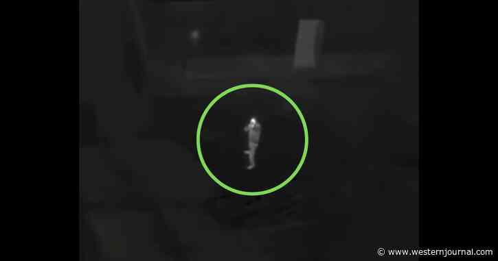 Man Winds Up Dead After Allegedly Pointing Green Laser, Then Firing at Police Helicopter