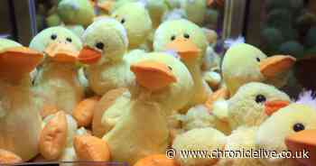 Arcade attendant reveals little-known trick to winning on the 'impossible' claw machine