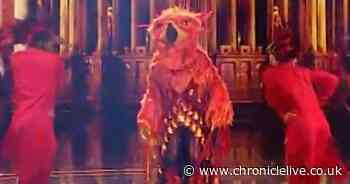 Masked Singer's Phoenix gives fans identity 'conundrum' as same clue applies to two stars