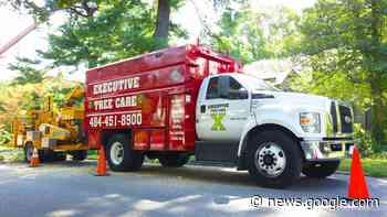 Executive Tree Care Announces it's use of the Arbor Day Foundation to Plant a Tree for Every Tree Job - EIN News