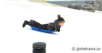 Kingston, Ont. residents enjoying mild winter day