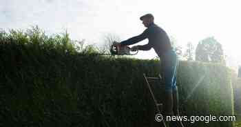 Valse tuinman terecht na tuinrenovatie: “Maar tuin wel degelijk ... - Het Laatste Nieuws