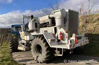 Weißes Gold in Lampertheim? - Lampertheim - Nachrichten und ... - Mannheimer Morgen