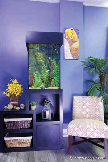 How to Destress Your Nest with an In-Home Aquarium - Rhode Island Monthly