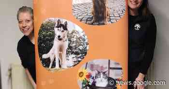 Dierenberscherming Mechelen organiseert netwerkevent: “Ter ... - Het Laatste Nieuws