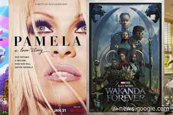 New this week: Shania, 'Princess Power' and Pamela Anderson - St. Albert Gazette