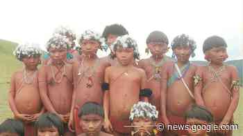 Identitários defendem que índios permaneçam na extrema pobreza - Causa Operária