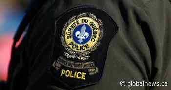 Quebec snowmobiler dies after possible collision with moose authorities say