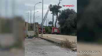 Maltempo ad Aversa: rami pericolanti, intervento Vigili Fuoco | larampa - La Rampa