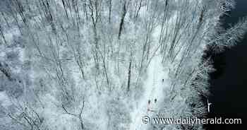 Suburban Skyview: Snow globe world encompases a group of dog walkers