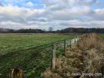 Bargteheide: Spaziergang ins Moor am 21.01.2023, 11 Uhr - Ahrensburg Portal