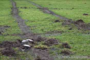 Vandal going out of his way to damage Delta BC sports field - Delta Optimist