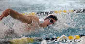 Boys swimming: Waubonsie Valley 2nd, Neuqua Valley 3rd at Metea invite