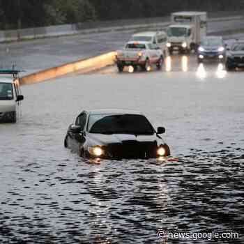 Mindestens drei Tote nach Rekordregen in Auckland - radioberg.de