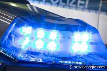 Schüsse bei Polizeieinsatz in Treuen: Mehrere mutmaßliche ... - freiepresse.de