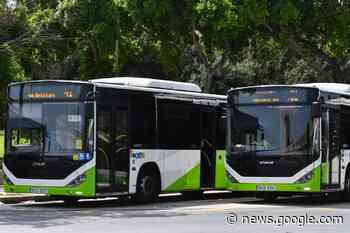 Consumers' association calls for use of minibuses in public transport - Newsbook