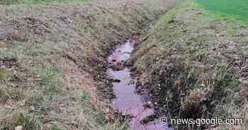 Ermittlungen: Warum färbt sich das Wasser im Straßengraben in Minden-Lübbecke rot? - Neue Westfälische