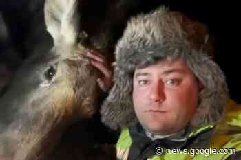 Northern trucker has unique way with animals, cuddles dying moose - TimminsToday