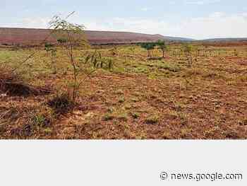 Parceria para reabilitação ambiental de áreas mineradas - Notícias - paracatu.net