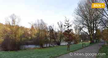 Ziel Pforzheim: Eine leichte Wanderung durch die Stadt - BNN - Badische Neueste Nachrichten