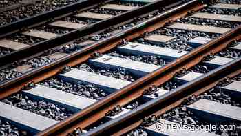 Bad Hersfeld: Gleisspringer zwingt Zug zu Notbremsung - hna.de