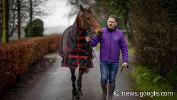 Dublin Racing Festival graduates make Cotswolds grade - Independent.ie